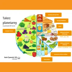 Talerz planetarny pokazuje proporcje produktów: warzywa, owoce, pełne ziarna, białko roślinne i zwierzęce, nabiał, zdrowe tłuszcze i ograniczone cukry.
