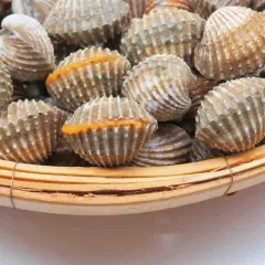 Berberechos al vapor, listos para disfrutar. Su concha rugosa y su interior anaranjado prometen un sabor marino intenso.
