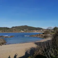La tranquila playa de Vilariño, con arena dorada y aguas azules, se extiende bajo un cielo despejado. Rocas salpican la orilla, y colinas verdes cubiertas de árboles la rodean.