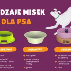 Jaka miska dla psa? Porównanie misek plastikowych, metalowych i szklanych. Miska szklana jest najbezpieczniejsza dla zdrowia i przyjazna środowisku.