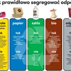 Jak segregować butelki po piwie, aby uniknąć problemów z recyklingiem