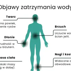 Ilustracja przedstawia sylwetkę człowieka z zaznaczonymi obszarami zatrzymania wody: twarz, dłonie, brzuch, nogi i kostki, oraz masa ciała.