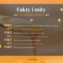 Fakty i mity o miodzie: czy miód jest zdrowy? Sprawdź, czy prawdziwy miód krystalizuje, czy ma właściwości lecznicze i czy można go jeść metalową łyżką.