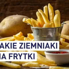 Złociste frytki w metalowym wiaderku i obok surowe ziemniaki. Idealne ziemniaki na frytki to podstawa chrupiącej przekąski.