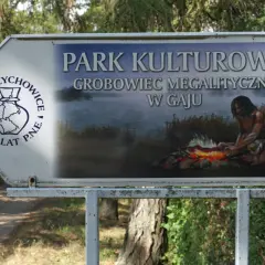 Najciekawsze atrakcje w Izbicy Kujawskiej, które musisz poznać
