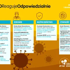 Organizacje charytatywne w Polsce: jak działają i komu pomagają