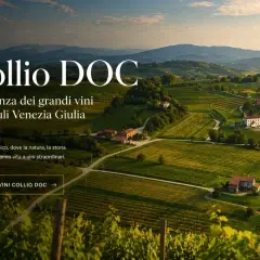 Colline verdi del Collio DOC, un paesaggio incantevole che celebra l'eleganza dei vini del Friuli Venezia Giulia.