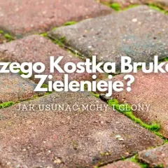 Czysty płot na lata! Usuwanie mchu, glonów i zapobieganie