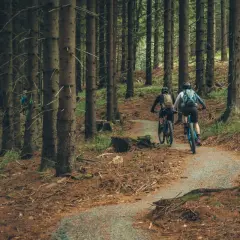 Dwóch rowerzystów pokonuje kręty single track w lesie w Kotlinie Kłodzkiej.