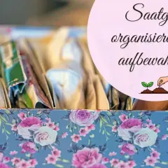 Blumige Box mit Saatgutpäckchen, perfekt zum **samen aufbewahren** und organisieren für die nächste Gartensaison.