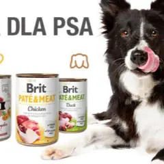 Czy karma Brit jest dobra dla psa? Sprawdź opinie i zalety.