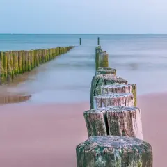 Drewniane pale na plaży, prowadzące do morza. Może tu jest najcieplejsza woda w Bałtyku?