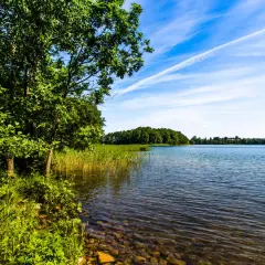 Zielone drzewa i trzciny nad brzegiem jednego z najgłębszych jezior w Polsce. Błękitne niebo z białymi chmurami.