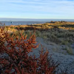 Jesienny spacer po plaży, gdzie morze w październiku wita łagodnym szumem fal i złotymi trawami.
