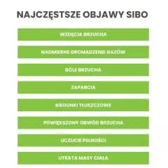 SIBO a psychika: Mgła mózgowa, lęk, depresja czy to z jelit?