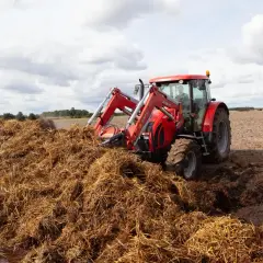 Czerwony traktor z ładowaczem pracuje przy dużej pryzmie obornika na polu.