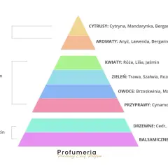Piramide zapachowa perfum: nuty głowy, serca i bazy. Nuty bazowe to drzewne akordy cedru, mchu i sandałowca, tworzące trwały, drzewny zapach.