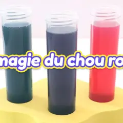 Trois éprouvettes aux couleurs vives (bleu, violet, rouge) montrent la magie du chou rouge pour tester le pH de l'eau sans testeur.