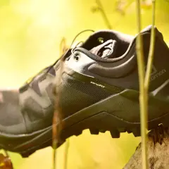 Buty Salomon Wildcross na drewnianym pniaku, otoczone zielenią. Gotowe na przygodę.