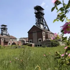 Anciens puits de mine à Lens, avec des tours métalliques imposantes et des bâtiments de briques rouges, entourés de verdure et de fleurs sauvages. Une belle invitation à la visite.