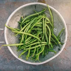 En slev med färska gröna bönor, perfekt för att få igång magen snabbt.