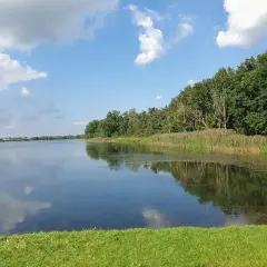 Spokojna tafla wody odbija chmury i zielony las nad zalewem bolimowskim.