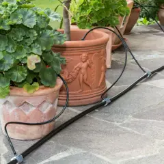 Pflanzen in Terrakotta-Töpfen werden von einem Bewässerungssystem versorgt. Ein schwarzer Schlauch schlängelt sich über die Steinplatten und versorgt die grünen Geranien.