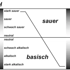 pH-Skala von 0-14. Saures Milieu (links) reicht von stark sauer bis schwach sauer. Basisches Milieu (rechts) von schwach alkalisch bis stark alkalisch. Sauerkrautsaft ist basisch.