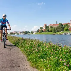 Trasa rowerowa wzdłuż Wisły - poznaj najpiękniejsze odcinki i atrakcje