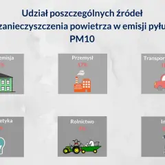 Skąd zanieczyszczenia? Poznaj główne źródła w Polsce i ich wpływ