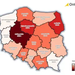 Mapa Polski z cenami gruntów. Wielkopolskie najdroższe, zachodniopomorskie najtańsze. Sprawdź, ile kosztuje hektar ziemi w Twoim regionie.
