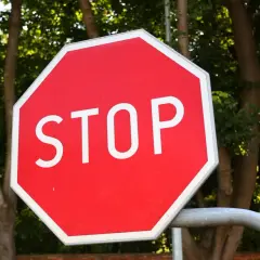 Ośmiokątny, czerwony znak stop z białym napisem "STOP" na tle zielonych drzew.