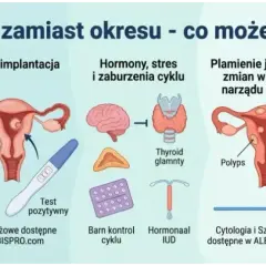 Plamienie zamiast okresu może oznaczać ciążę, zaburzenia hormonalne, polipy lub inne zmiany. Warto skonsultować się z lekarzem.