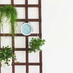 Kwietnik na ścianę DIY: Stwórz zieloną oazę krok po kroku!