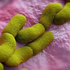 Yersinia objawy neurologiczne: rzadkie powikłania i ich skutki zdrowotne