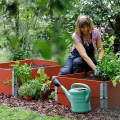Kvinna planterar i röda pallkragar. Här finns pallkragar inspiration för din trädgård med örter och grönsaker.