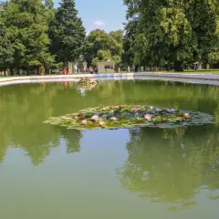 Najciekawsze atrakcje w Puławach, które musisz zobaczyć