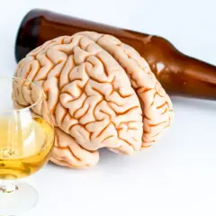 Model mózgu obok kieliszka z bursztynowym płynem i butelki symbolizuje wpływ alkoholu na mózg.