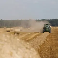 Na polu stoją okrągłe bele siana, a zielony traktor zbiera je, wzbijając tumany kurzu. Zastanawiasz się, ile kosztuje bela siana?