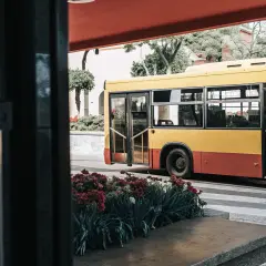 Żółto-czerwony autobus miejski, symbol madera transport publiczny, stoi na przystanku wśród kwitnących czerwonych kwiatów.