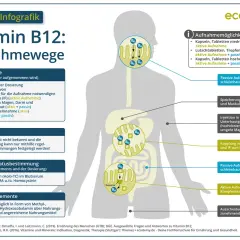 Wichtige Informationen zur Vitamin B12 Ergänzung für Ihre Gesundheit