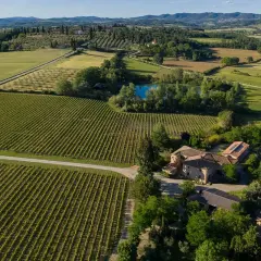 Vigneti rigogliosi e campi verdi circondano la fattoria Carpineta Fontalpino, con un laghetto azzurro e case in pietra sotto un cielo limpido.