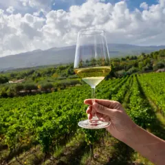 Un bicchiere di vino bianco in primo piano, con vigneti rigogliosi e l'Etna sullo sfondo. Un'esperienza di wine tasting indimenticabile.