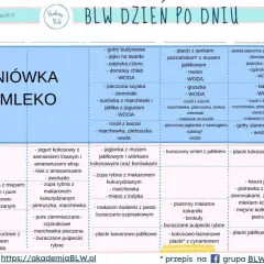 Co może jeść 8 miesięczne dziecko? Lista BLW: placki bananowe, zupa rybna, koktajl buraczano-jabłkowy, omlety, kasze.