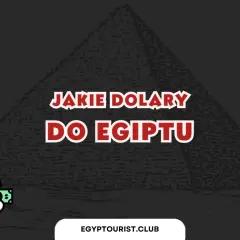 Faraon z dolarami pyta: jakie dolary do Egiptu? Słońce, piramida i flaga Egiptu w tle.