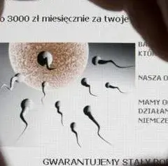 Ile zarobisz na oddaniu spermy? Poznaj realne stawki w Polsce