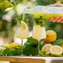 Limoncello wird in Gläser mit Eis, Zitronenscheiben und Minze gegossen. So trinkt man Limoncello am besten!