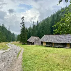 Kamienne ścieżki i drewniane chaty w Dolinie Jaworzynki, otoczone gęstym lasem świerkowym.