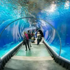 Oceanarium Kołobrzeg godziny otwarcia - nie przegap wizyty!