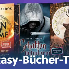 Drei Cover von Fantasy-Romanen: "Iron Flame", "Schattenwanderer" und "Godkiller". Ein Tipp für Leser von Fantasy-Büchern.